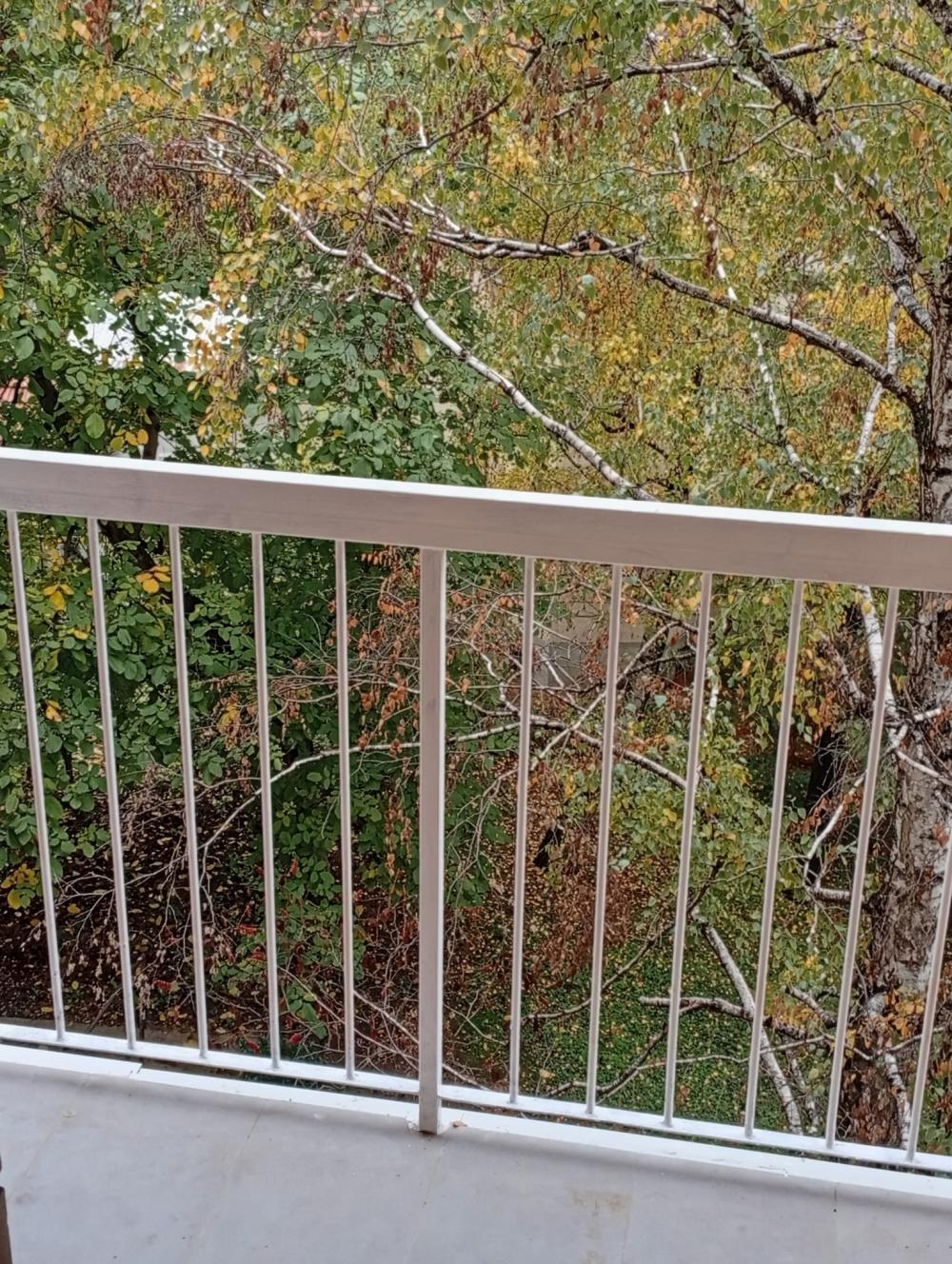 Slika 9 - U blizini Doma zdravlja, Dvosoban stan za izdavanje, 55m2, 360€